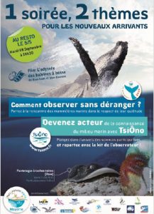 Soirée baleines 5:5