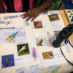 Grande feuille sur laquelle est collé différents dessins et photos de oiseaux tropicaux