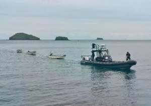 PAF, Mayotte