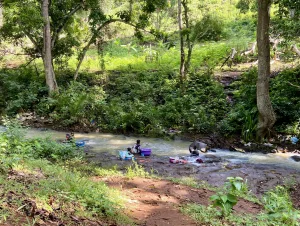 Gouloué, rivière, Passamainty, vaisselle, bidonville