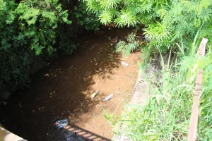accès eau, Immigration, migrants, demandeurs, asile, blocage, forces vives, sanitaires, assainissement