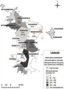 Mayotte, DAAF, bovin, volailles, élevage, Emmanuel Laury, santé animale,