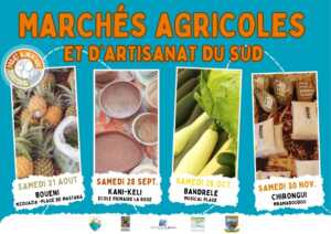 Mayotte, agricole, artisanat,
