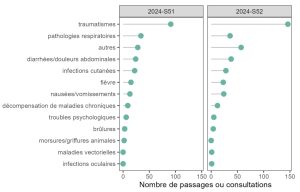 Mayotte, santé publique, maladies, surveillance, Chido, 