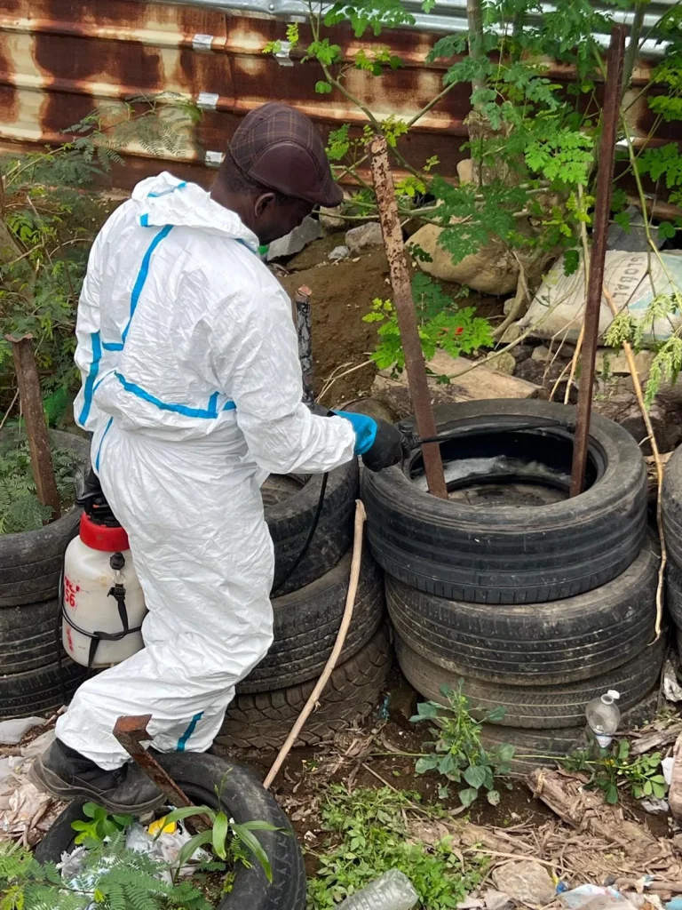 Mayotte, lutte anti vectorielle, moustique, LAV, ARS,