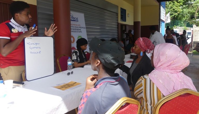 Job dating, Communauté d'agglomération du grand Nord, Medef, Mayotte