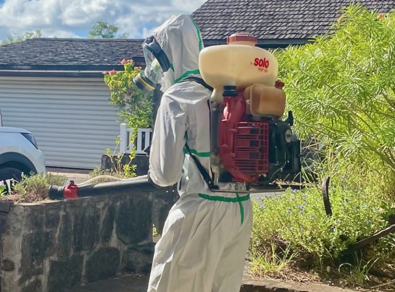 ARS, Mayotte, lutte anti-vectorielle, chikungunya,