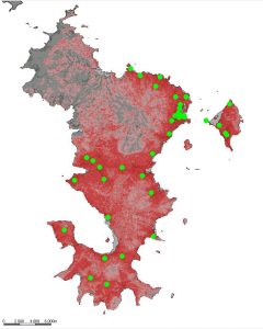 Mayotte, cyclone, Chido, réseau, SFR,