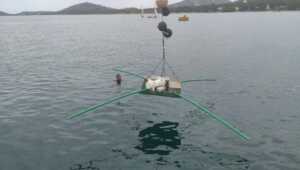 Mayotte, BRGM, géothermie, lagon, 