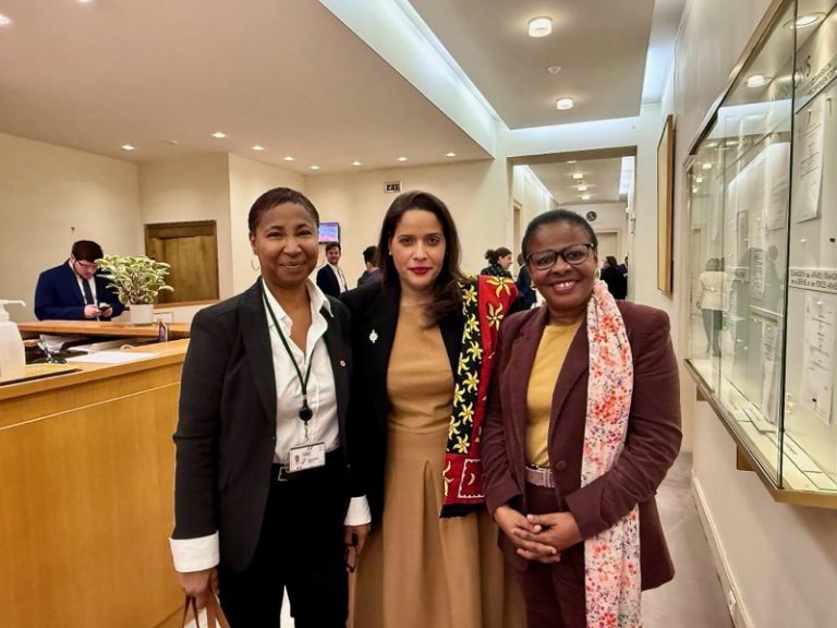 CMP, Assemblée nationale, Sénat, Mayotte