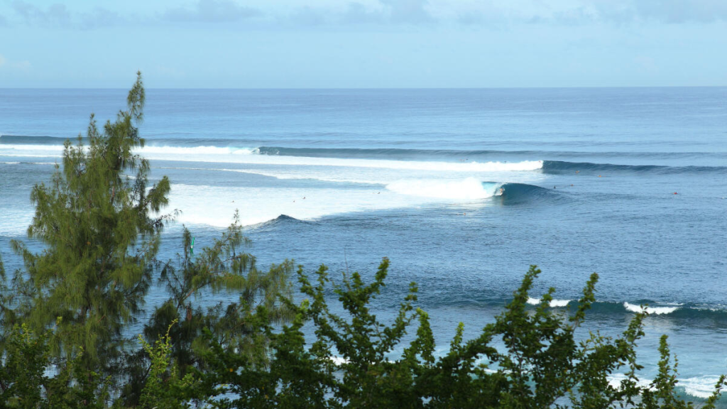 La Réunion, requin, surf, 