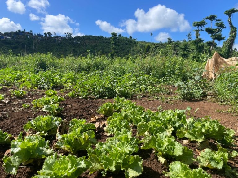 Bouyouni, piste longue, expropriation, développement, débat, Mayotte