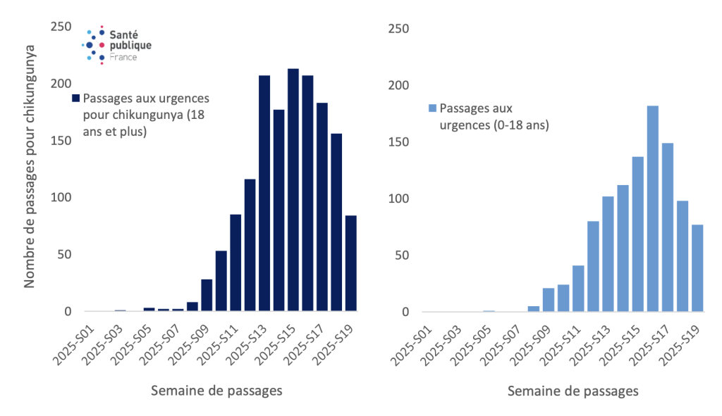 La Réunion, chikungunya, santé publique france, 