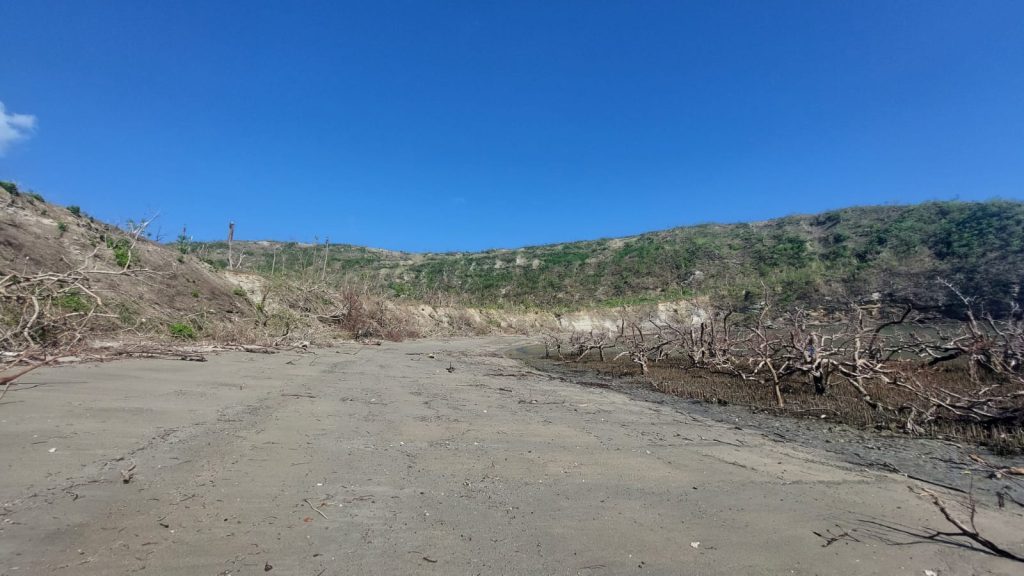 Mayotte, tortues, Oulanga Na Nyamba,