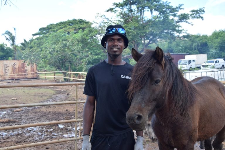 Centre équestre, Hajangoua, musada, Chido, chevaux, Mayotte