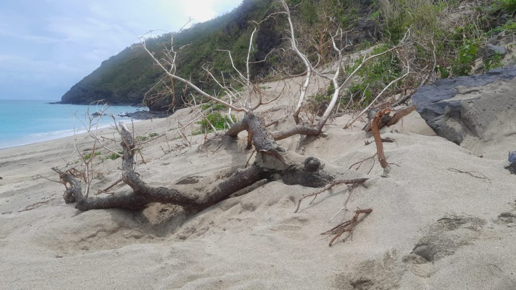 Mayotte, tortues, Oulanga Na Nyamba,