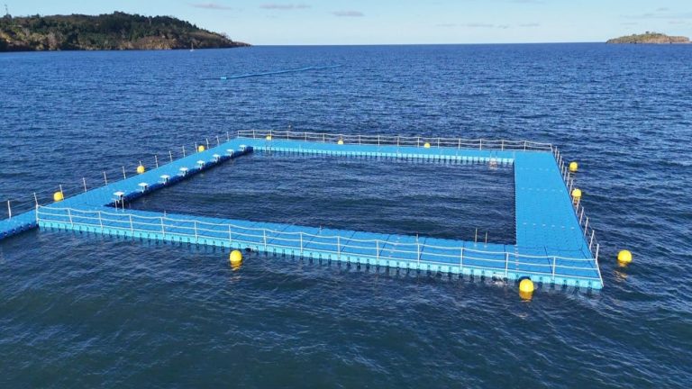 Piscine, bassin nautique, Bandrélé, natation, Mayotte