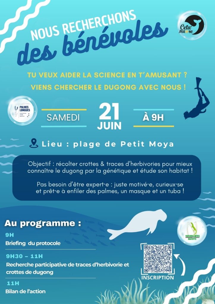 Ceta'Maore, préservation, écosystèmes, lagon, mammifères, Mayotte