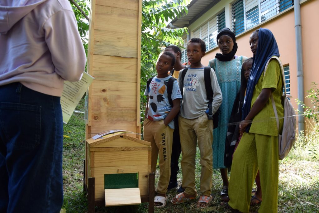 Journée, environnement, écologie, collège, Passamaïnty, Mayotte
