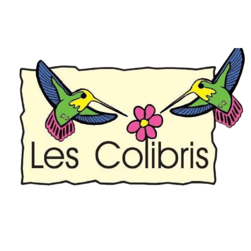 Les Colibris, école, le Rocher, Dzaoudzi, circulation, rectorat, Mayotte