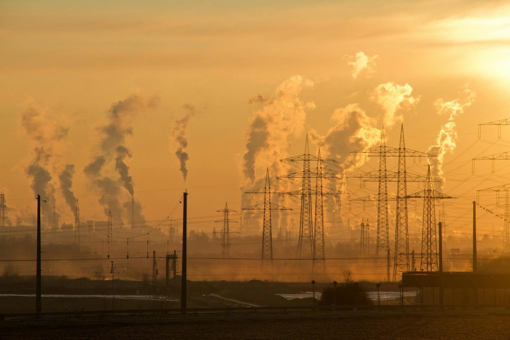 Monde, réchauffement climatique, moustique, dengue,