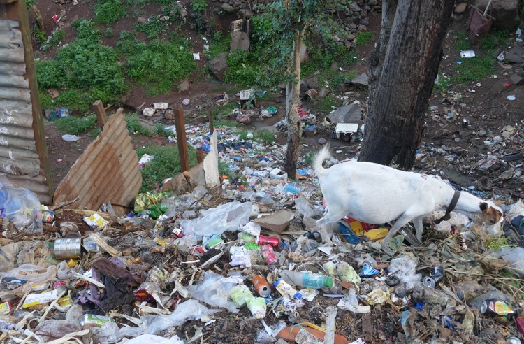 Mayotte, déchets, tri sélectif,