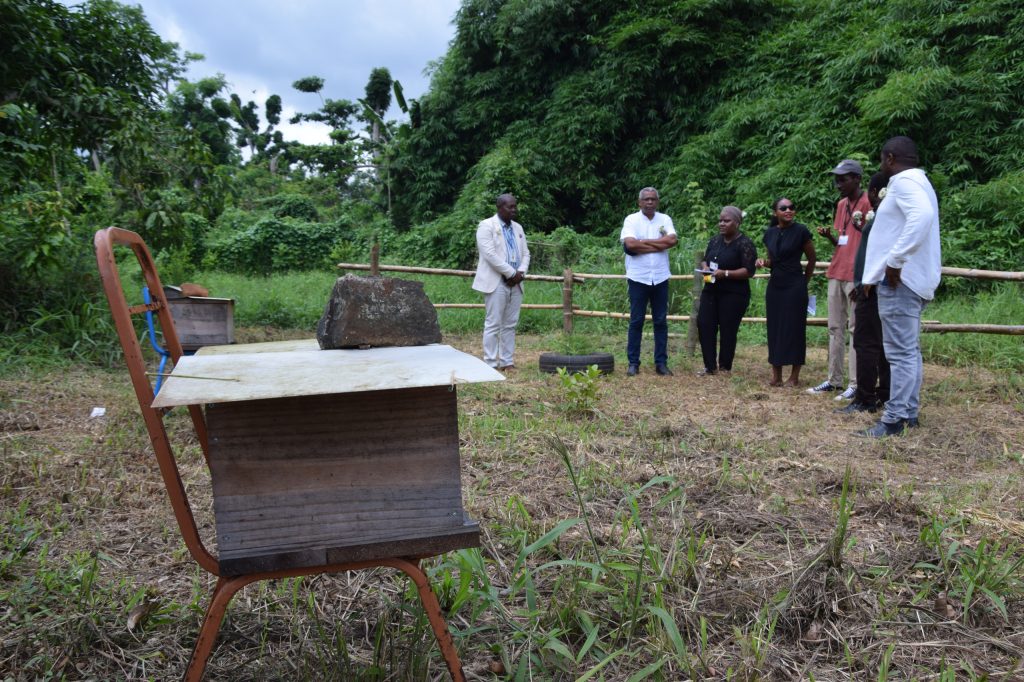 Abeilles, FMAE, Département, Mayotte