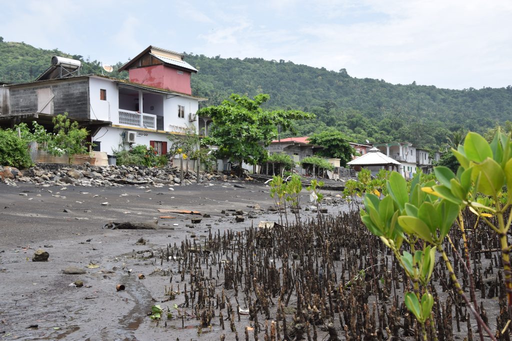 Jardin Océanique de Mayotte, mangrove, palétuviers, protection, Mayotte
