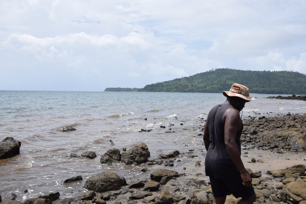 Jardin Océanique de Mayotte, mangrove, palétuviers, protection, Mayotte