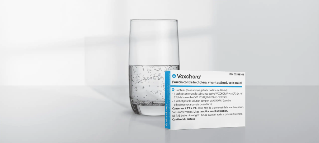 Mayotte, vaccin, choléra, HCSP, 