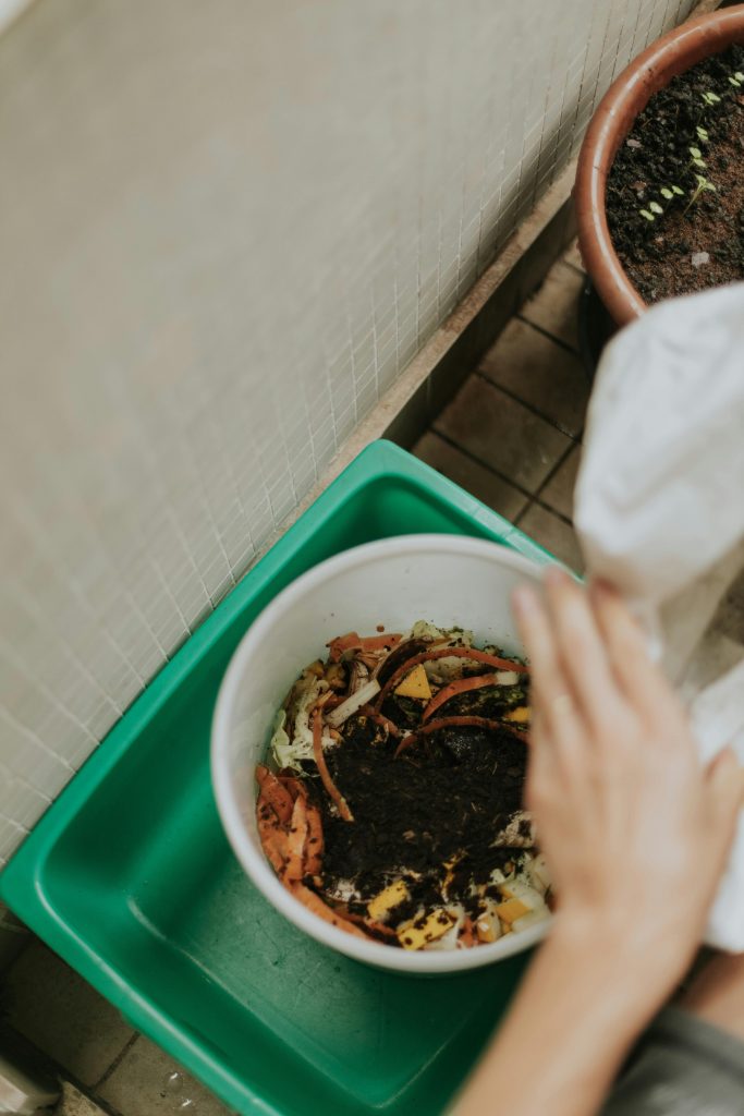 Mayotte, May'Refuge LPO, compost, 