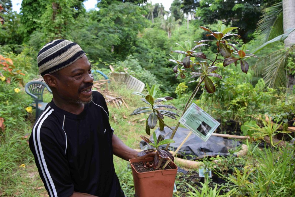 Conservatoire botanique de Mascarin, Dembéni, pépinière, Mayotte