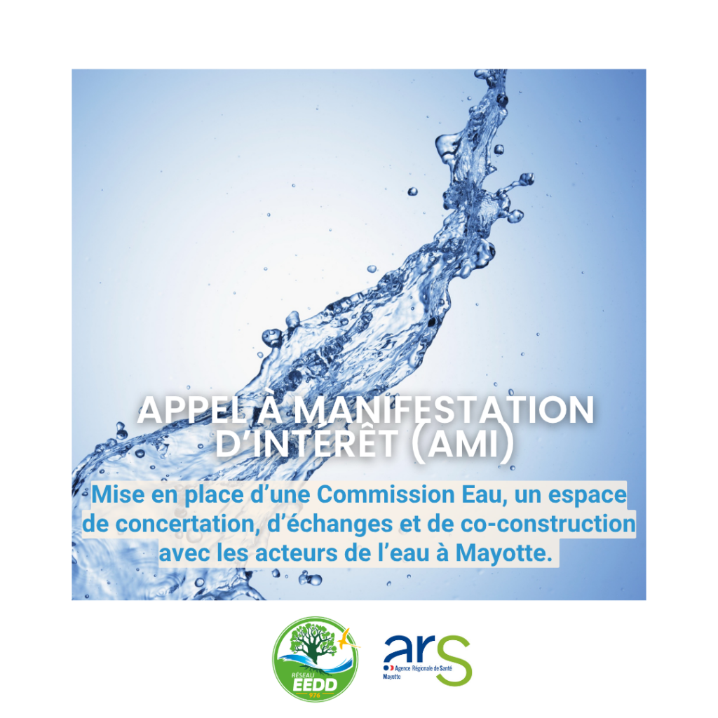 Mayotte, Eau, Commission Eau, 