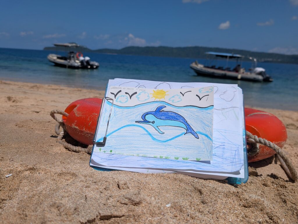 Ceta’Maore, lagon, enfants, collégiens, non-scolarisation, découverte, mammifères marins, bateaux, ambassadeurs lagons, Mayotte
