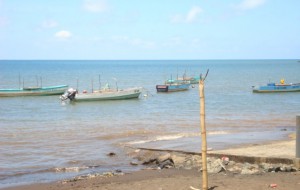 Barques de pêcheurs