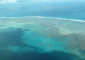 Barrière corail Mayotte