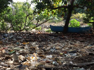 Baromètre des déchets La mangrove de Mtsapéré n'est plus qu'une immense décharge