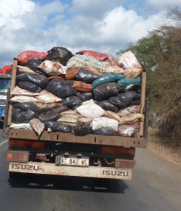 Ramassage des déchets à Koungou