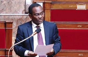 Ibrahim Aboubacar à l'Assemblée nationale ©AN