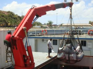 Il n'y a plus de liaison maritime par boutre entre les îles de la région (ici, importation d'oignons en 2009)