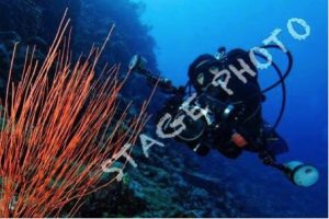 Stage photo sous marine