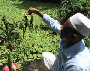 Abdou fait partager sa passion au Jardin botanique de Coconi