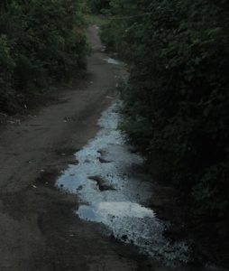 Des ruissellements nauséabonds dans la nature