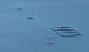 Tables aquacoles