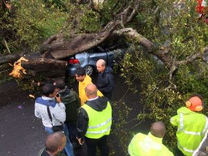 Une voiture écrasée par un arbre à Saint-André, la famille a été légèrement blessée