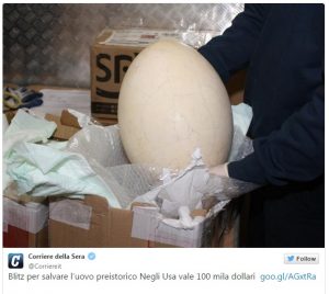Oeuf Mada italie