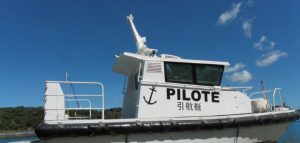 Piltotine mkaid