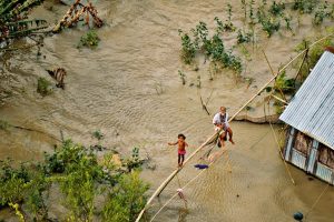 La photo couverture du livre de Yann Arthus-Bertrand "60 solutions face au changement climatique" ©Yann Arthus-Bertrand-Altitude