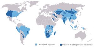 Carte de la présence de la peste dans le monde entre 1970 et 1998