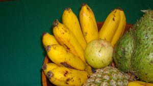 Fruits réduc